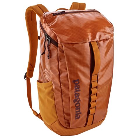 patagonia black hole 25l sale.